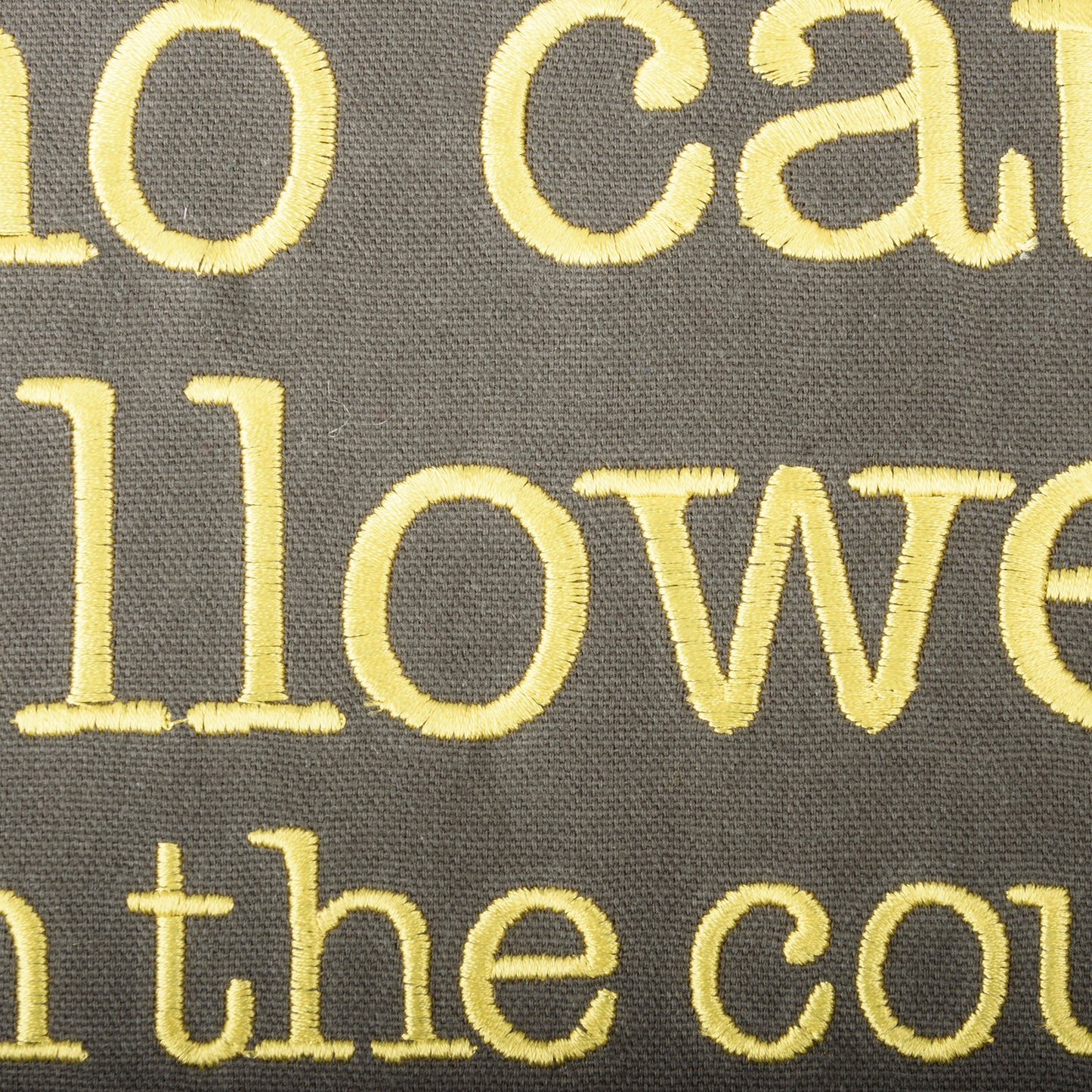 Porch Nook | Decorative Embroidered Pillow - No Cats On The Couch LOL Just Kidding