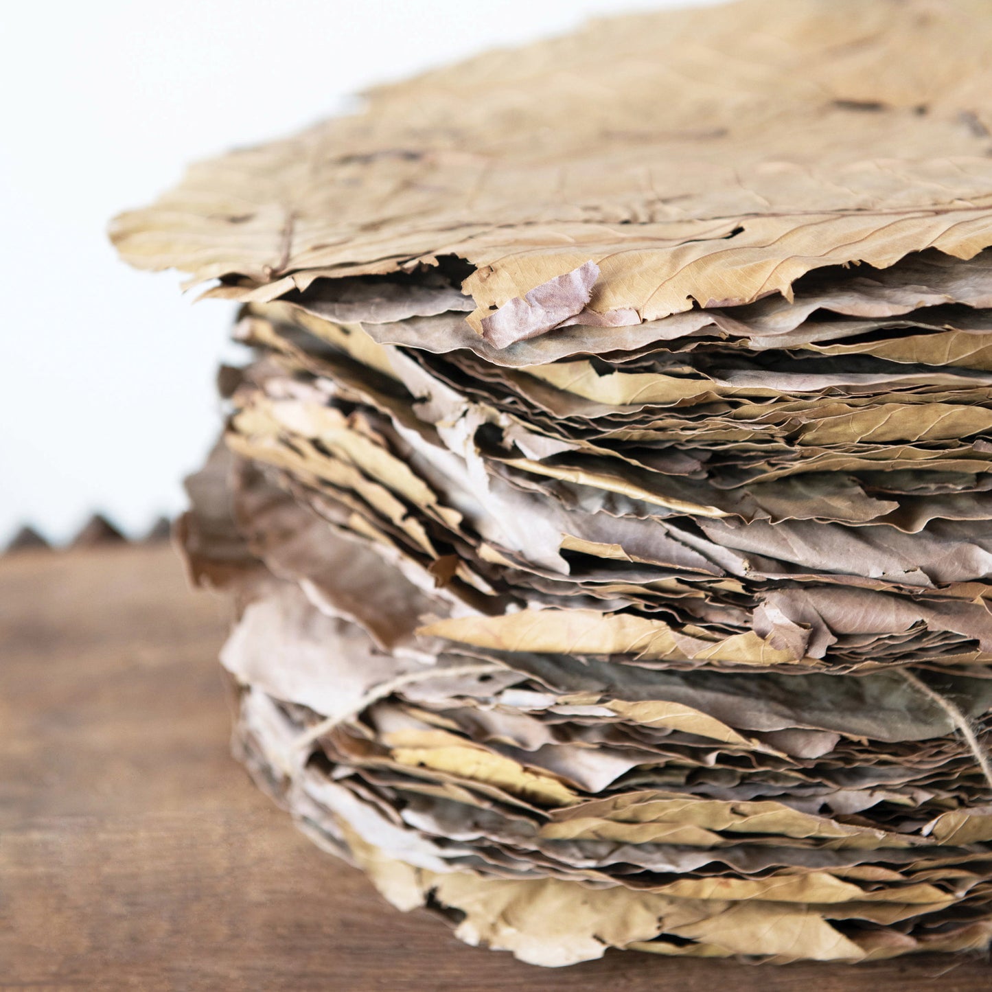 Porch Nook | Pattal Leaf Placemats with Jute Tie, Set of 48