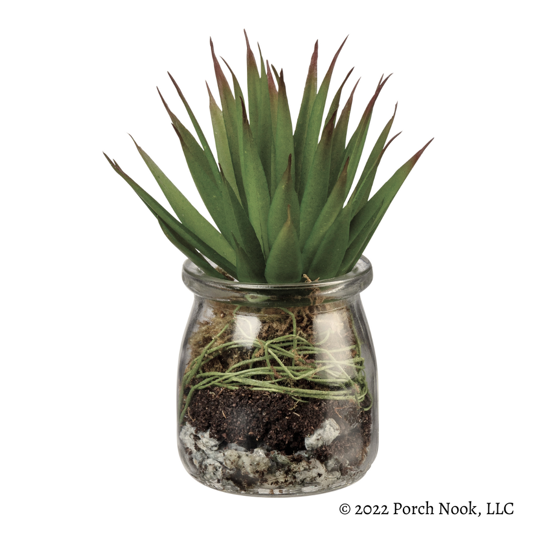 Porch Nook | Faux Aloe Succulent Plant with Glass Jar