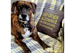 Porch Nook | Decorative Embroidered Pillow - No Dogs On The Couch LOL Just Kidding