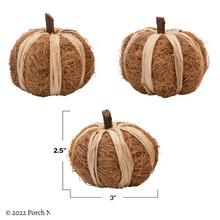 Set of 3 Handmade Decorative Pumpkin, Dried Natural Coco Fiber and Raffia